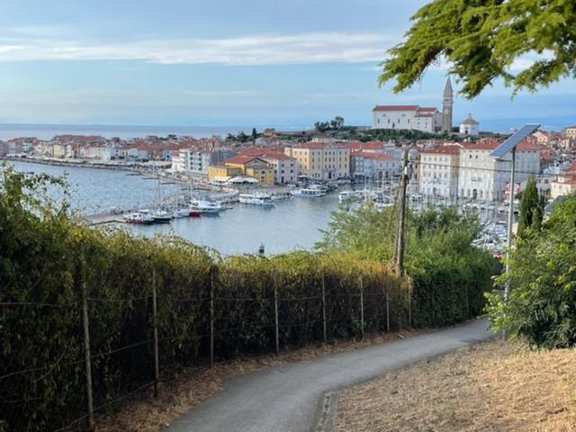 Cliff Appartement Piran